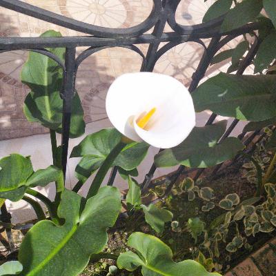 No te compares No te compares