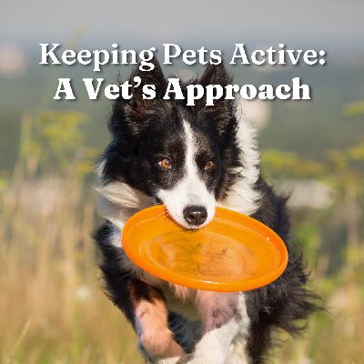 Keeping Pets Active: A Vet’s Approach