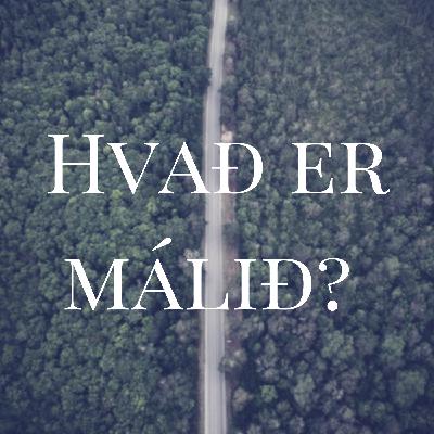 Málið er: Anders Behring Breivik Málið er: Anders Behring Breivik
