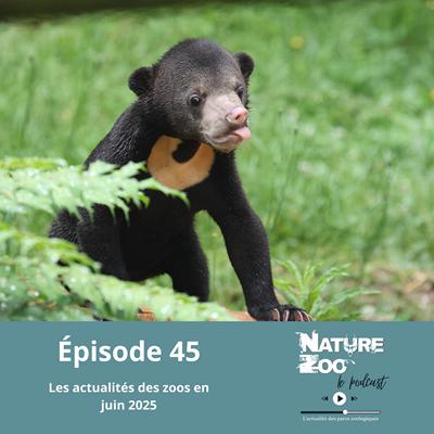 Épisode 45 (ACTU) - Les actualités en juin 2025