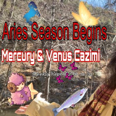 Weekly Report 3/21-28/25 Weekly Report 3/21-28/25