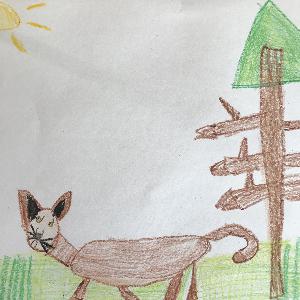 Episode 6: Cougars
