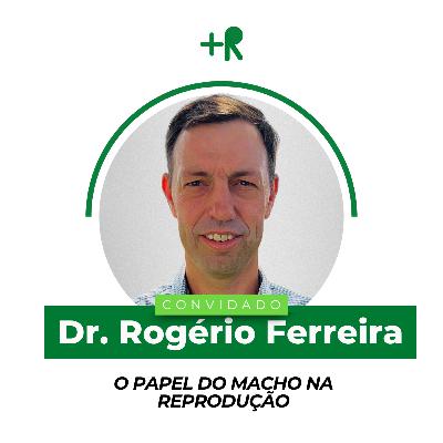 O PAPEL DO MACHO NA REPRODUÇÃO - Dr. Rogério Ferreira | Ep. 104 O PAPEL DO MACHO NA REPRODUÇÃO - Dr. Rogério Ferreira | Ep. 104