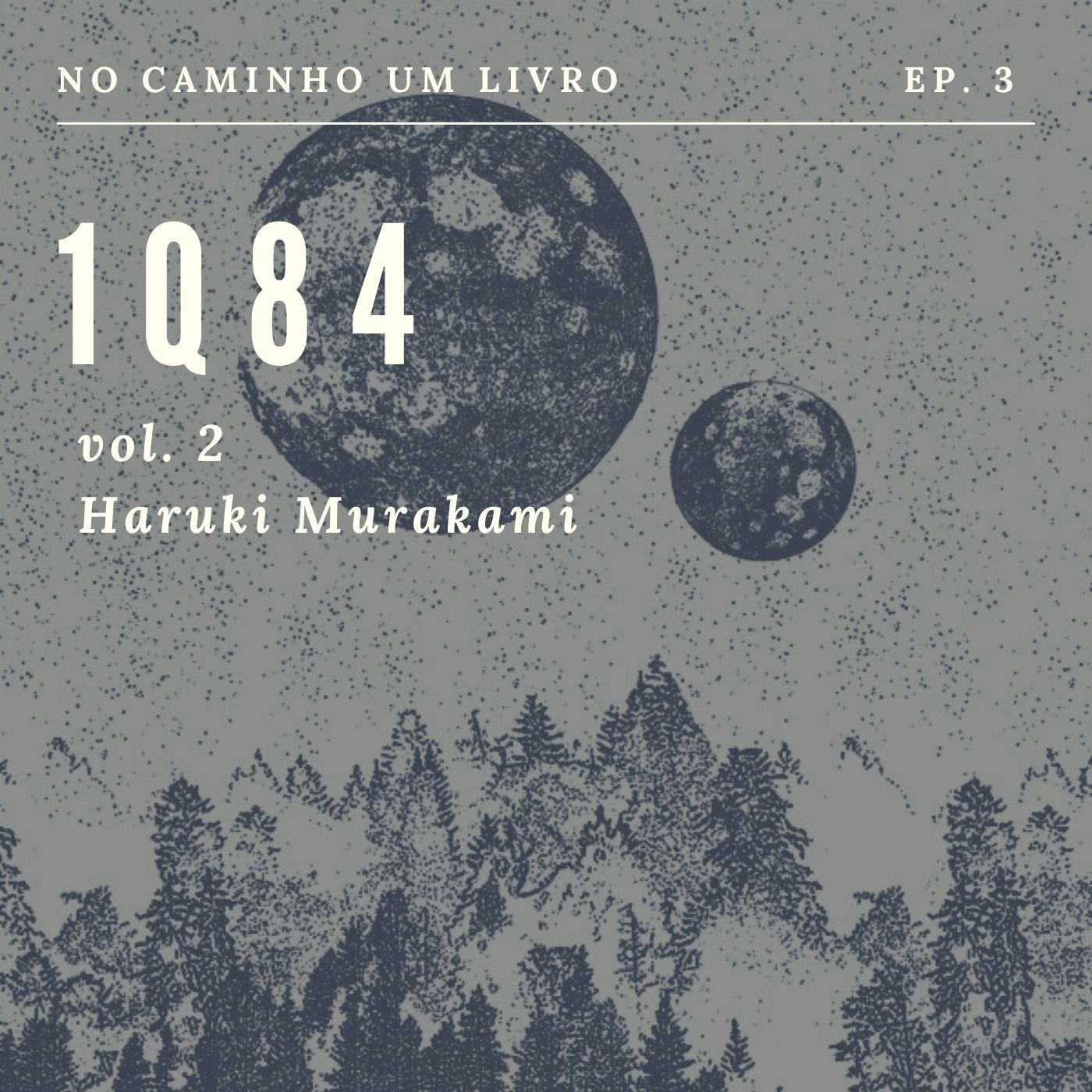 No caminho um livro