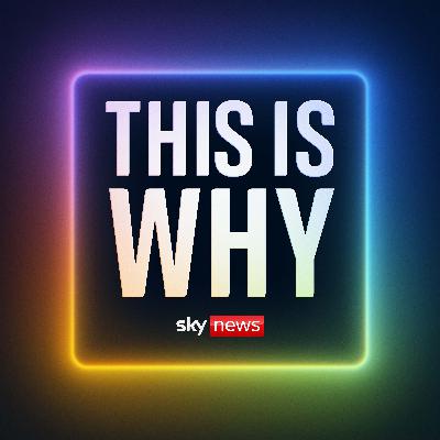 One story every day, explained to make sense of the world