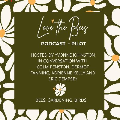Love The Bees Podcast, The Pilot.