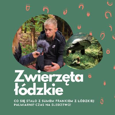 Na tropie olbrzyma. Co się stało z sumem Frankiem? | Bogdan Koczyk, Płockie Zoo | Zwierzęta łódzkie Na tropie olbrzyma. Co się stało z sumem Frankiem? | Bogdan Koczyk, Płockie Zoo | Zwierzęta łódzkie