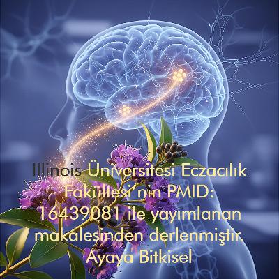 Hayıt Bitkisi ve Doğal Ağrı Kesici Sistemi: PMS Üzerindeki Bilimsel Etkiler (PMID: 16439081)