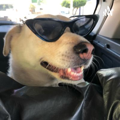 Ep. 9.1 — o que é brega (parte 1) Ep. 9.1 — o que é brega (parte 1)