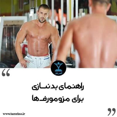 راهنمای بدنسازی برای مزومورف ها (هوش مصنوعی)