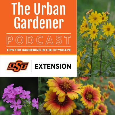 Episode 50: Beat the Heat, Part 1