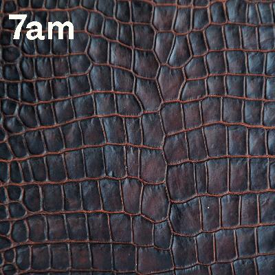 Part 1: The true cost of crocodile skin