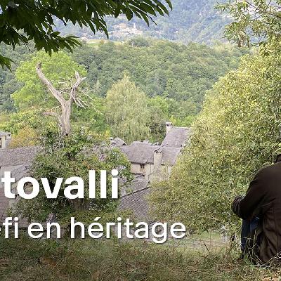 Des racines et des ruines