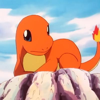 Snapshot Rewind: Charmander: The Stray Pokemon