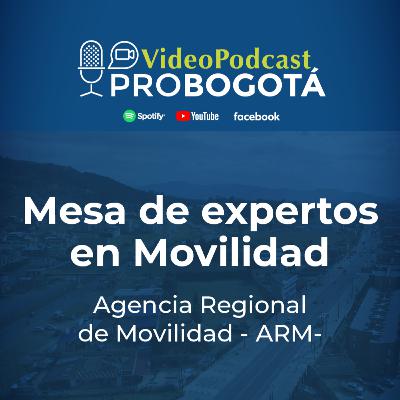 Mesa de Expertos - Agencia Regional de Movilidad (ARM) Mesa de Expertos - Agencia Regional de Movilidad (ARM)