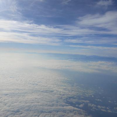 Theory of Capital by Pierre Bordieu