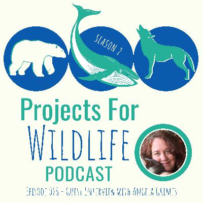 Episode 066 - Angela Grimes shares Born Free's rescue of five monkeys from a roadside zoo Episode 066 - Angela Grimes shares Born Free's rescue of five monkeys from a roadside zoo