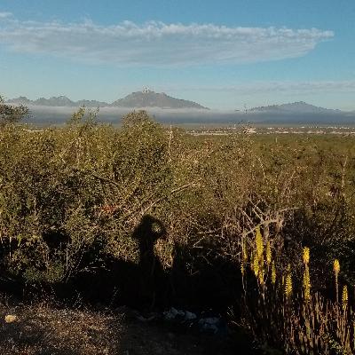Episodio 3. Poesía de la Vanguardia Primitiva.