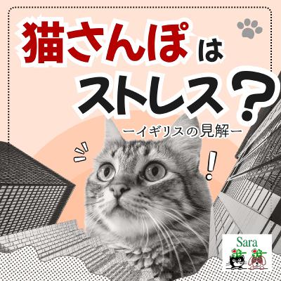 #1045. ねこ散歩：猫にはストレス？英国で言われていること🐱