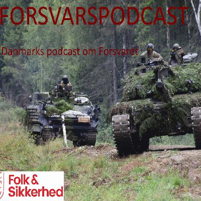Ekspert: 50% sandsynlighed for krig med Rusland