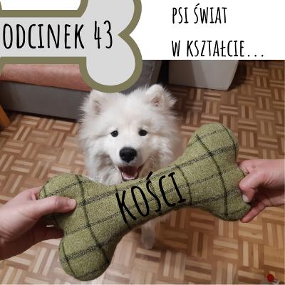 043 - Psi świat w kształcie... kości