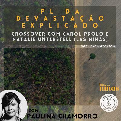 265 - O PL da Devastação explicado (crossover com Las Niñas)