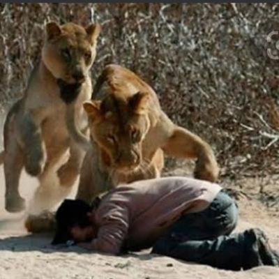 En el Fondo del Foso/Hoyo