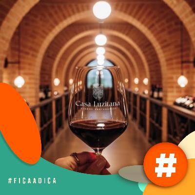 Fica a Dica - Casa Luzitana é a casa dos vinhos portugueses no Meeting Shops Fica a Dica - Casa Luzitana é a casa dos vinhos portugueses no Meeting Shops