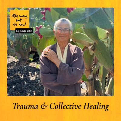 Trauma and Collective Healing | TWOII podcast | Episode 92