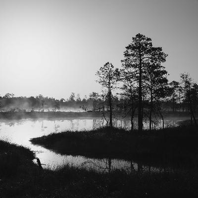 Fortællinger fra graven - Rolf