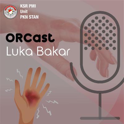 Over on Podcast - Luka Bakar