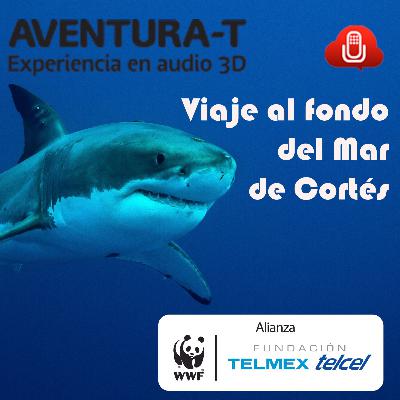 Aventúra-T EP01 Viaje al fondo del Mar de Cortés