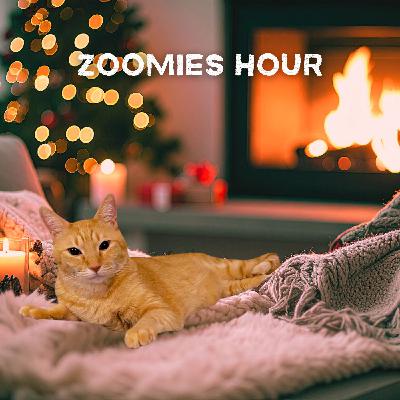 #038 猫と過ごすクリスマス