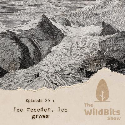 Ice recedes, Ice grows Ice recedes, Ice grows