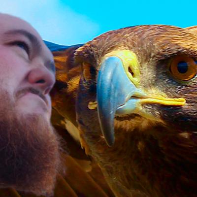 Bird Brained // 5d20 // S01E45