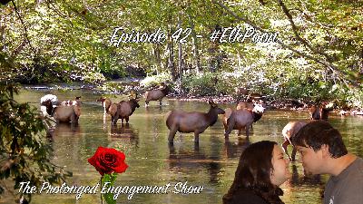 Episode 42 - #ElkPoon