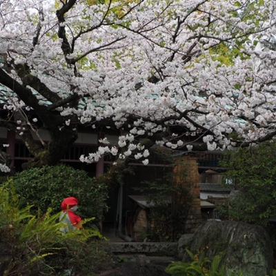 梶井基次郎「桜の樹の下には」