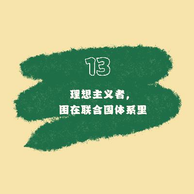 13 理想主义者，困在联合国体系里