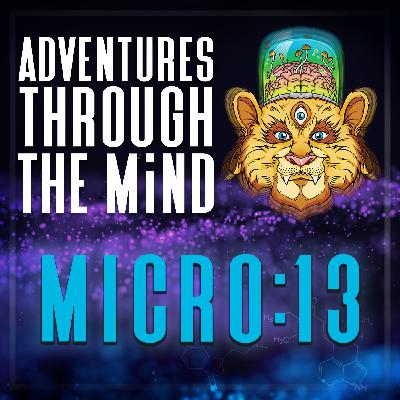 MICRO:13 - Integrating Spontaneous Spiritual Awakening Experiences, with Jessica Corneille