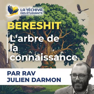 Bereshit, L'arbre de la connaissance Bereshit, L'arbre de la connaissance