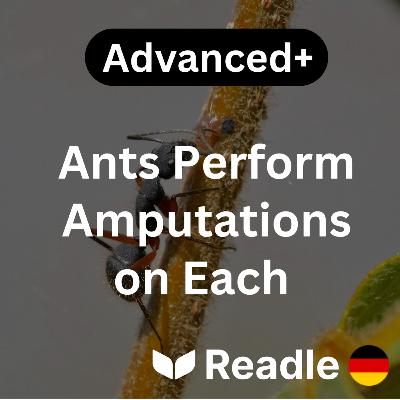 Learn German EP 33 - Ants Perform Amputations on Each Other (Advanced+)
