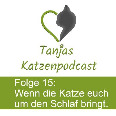 Wenn die Katze euch um den Schlaf bringt
