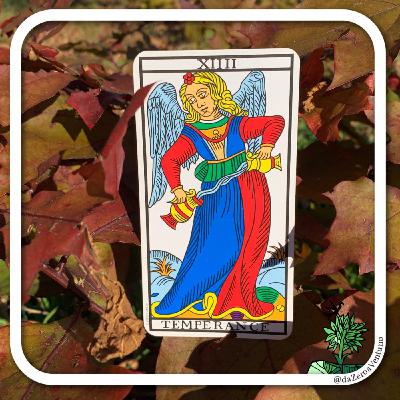 14. La Temperanza. Di confini, guarigione e nero impenetrabile.