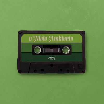 O Meio Ambiente #08
