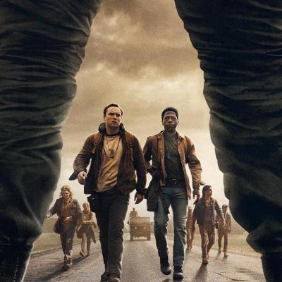 Kinovärgiga mandariin #338 Kinovärgiga mandariin #338