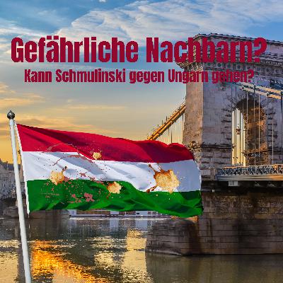 Hat die Ukraine eine Chance gegen Ungarn? Schmulinskis Möglichkeiten im Überblick Hat die Ukraine eine Chance gegen Ungarn? Schmulinskis Möglichkeiten im Überblick