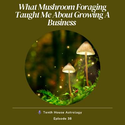 What Mushroom Foraging Taught Me About Growing A Business