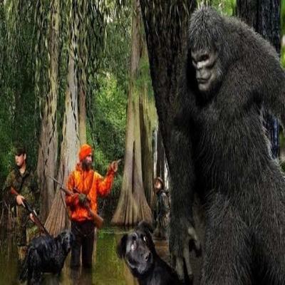 Episode 19 - Maine: Maine Ridge Monster