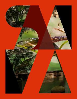 Left to Be Desired Episode 6: Zheng Bo on How Plants Practice Politics