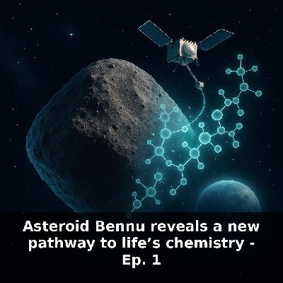 Origins of Life from Asteroid Bennu — OSIRIS-REx Amino Acid Clues